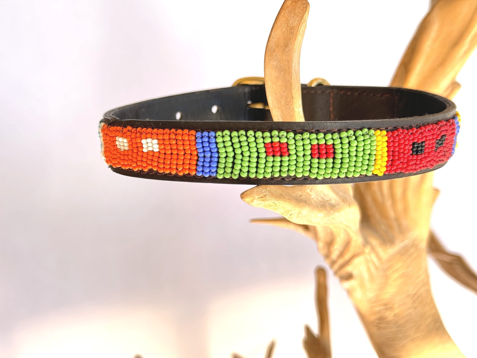 Dog Collar - Medium